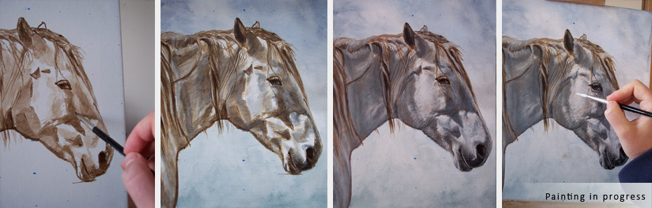 white horse portrait painting in progress photographs