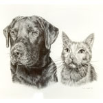 labrador and cat pet portrait in pencil