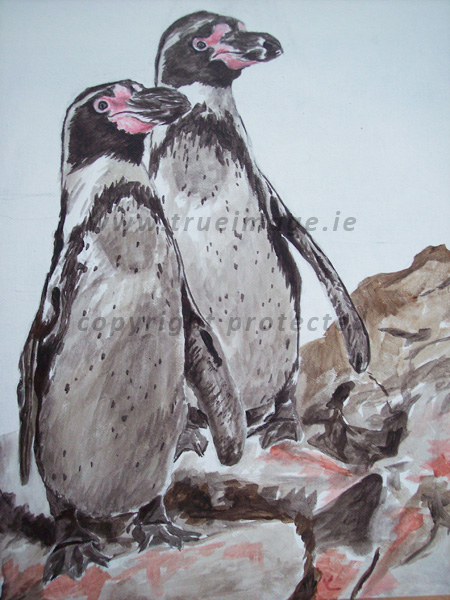 Penguins-wildlife-art_step1 Wildlife portrait of Humboldt Penguins in acrylic