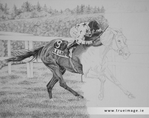 horse and jockey portrait in pencil - progress image 4