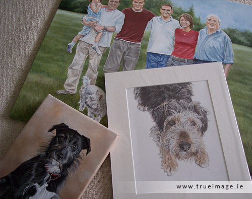 pet and family portraits 