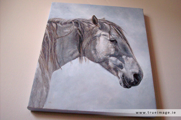 White horse portrait painting on canvas