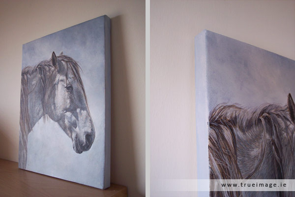 white horse portrait painting in acrylic on canvas