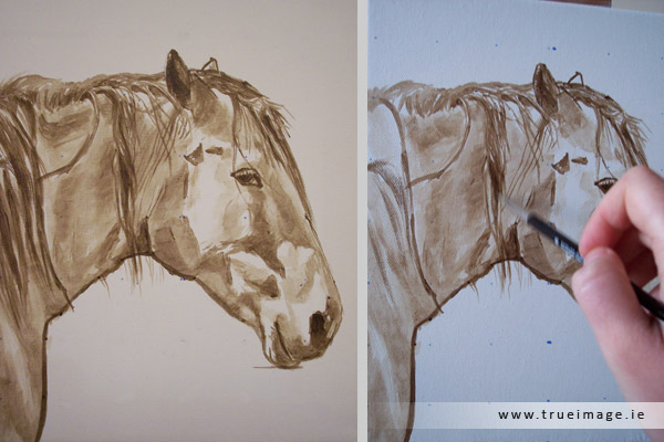 Horse portrait painting in acrylic - progress image 1