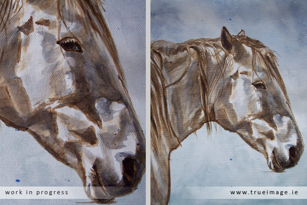 white horse painting in acrylic - progress image 3