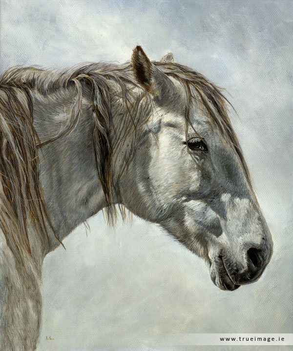 white horse portrait painting in acrylic on canvas