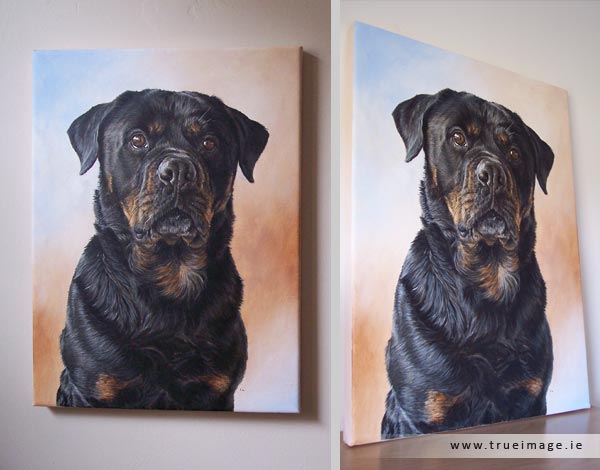 rottweiler dog portrait painting on canvas