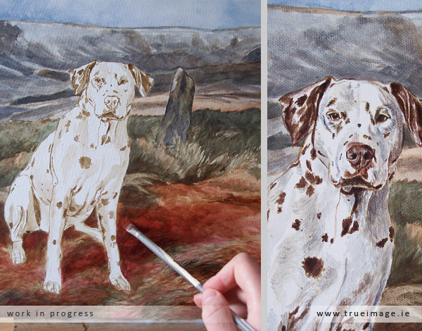 Dalmatian pet portrait in acrylic on canvas - progress image 2