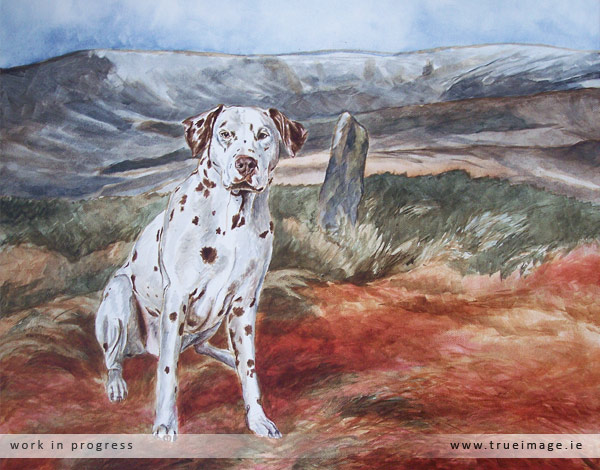 Dalmatian dog portrait in acrylic - progress image 2
