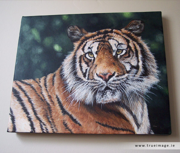 sumatran tiger painting on canvas