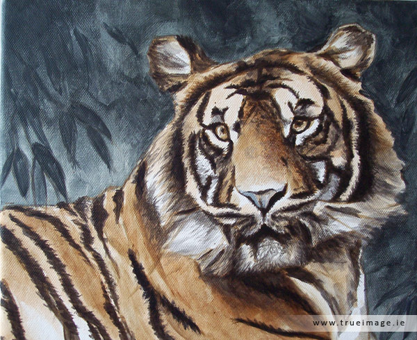 sumatran tiger wildlife painting - step3