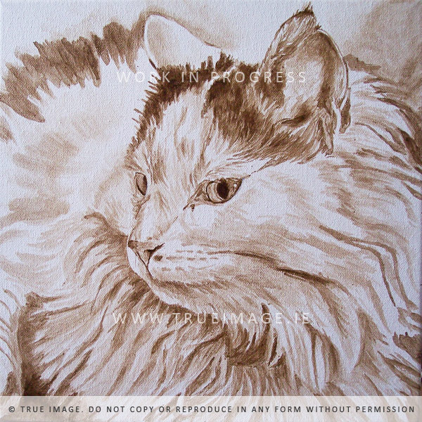 cat portrait painting in progress