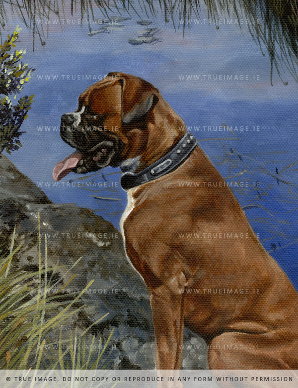boxer dog portrait painting detail
