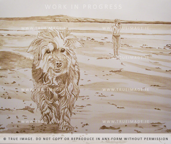 max the yorkshire terrier - portrait in acrylic - step 1