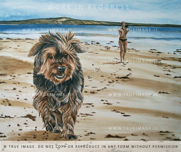 yorkshire terrier portrait painting - step 2