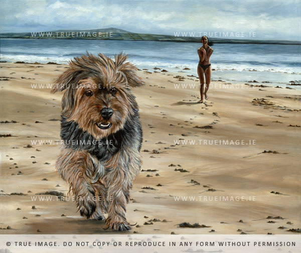 yorkshire terrier portrait in acrylic
