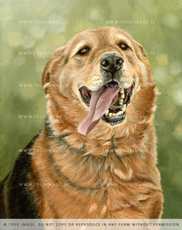 retriever dog portrait in acrylic on canvas