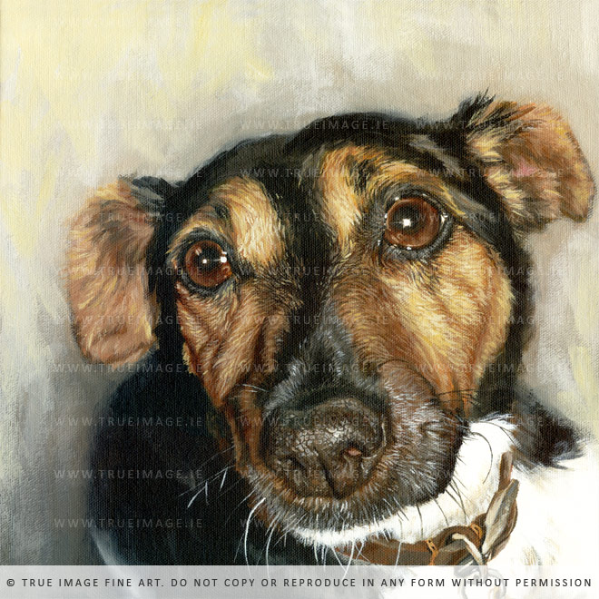 jack russell dog portrait painting
