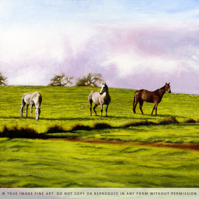 three horses in a field painting in acrylics on canvas