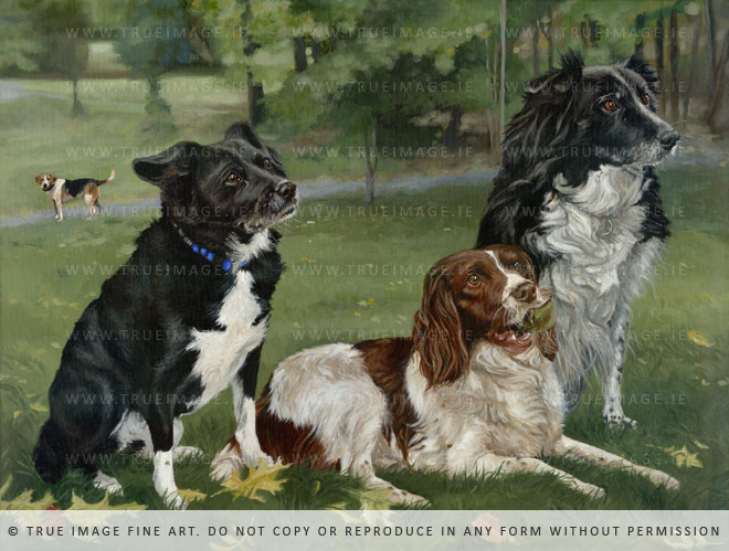 three dogs portrait painting
