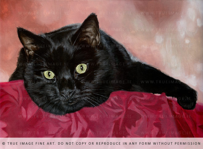 black cat portrait in acrylic