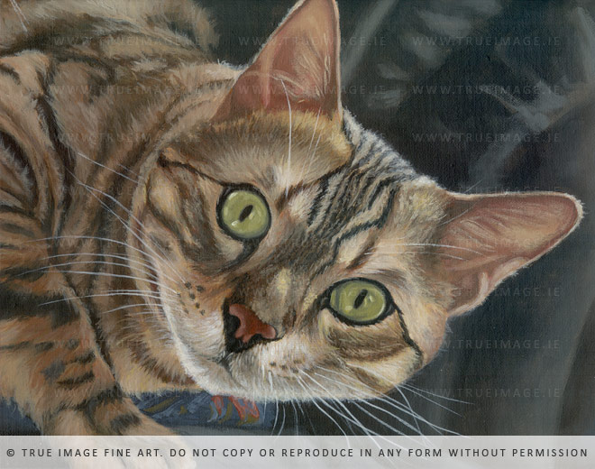 bengal cat portrait painting