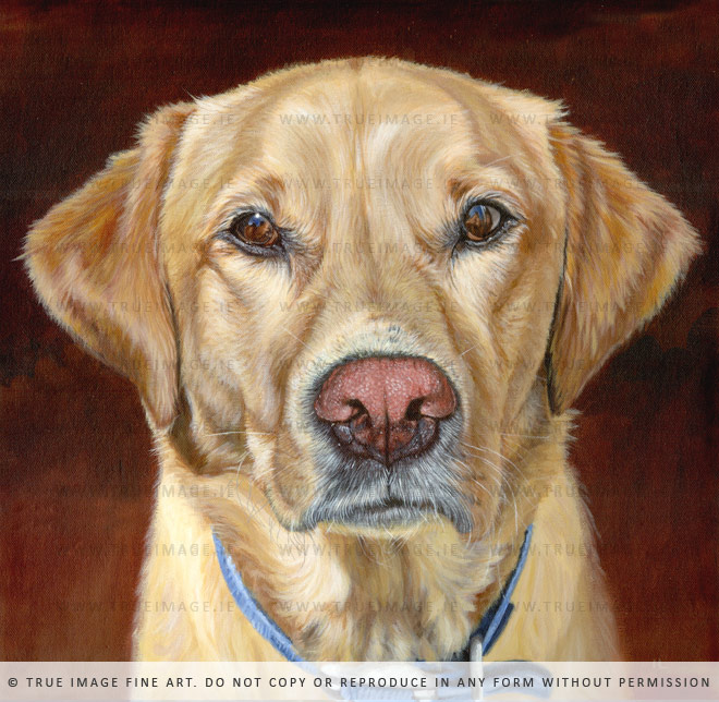 golden-labrador-portrait-painting