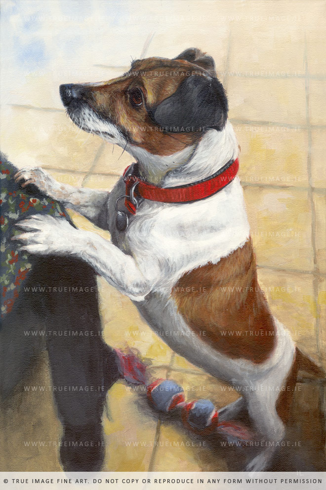 jack russell dog portrait painting