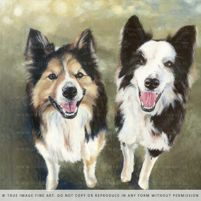 two-collies-painting