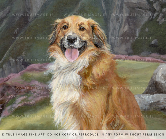 collie-painting-detail