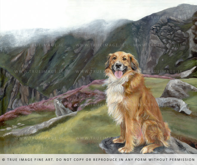collie-painting-mountains