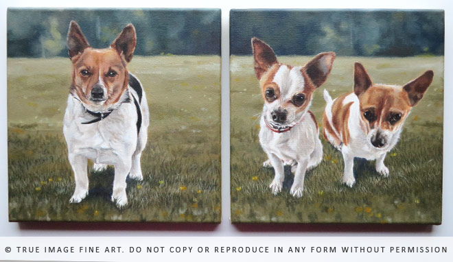 jack russell and chihuahua paintings