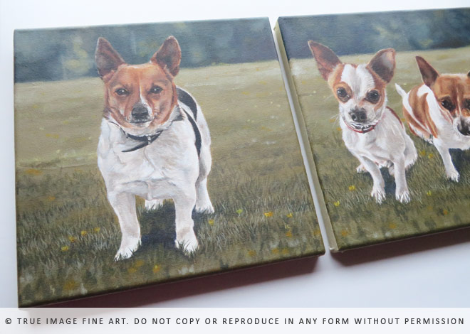 jack russell chihuahua paintings