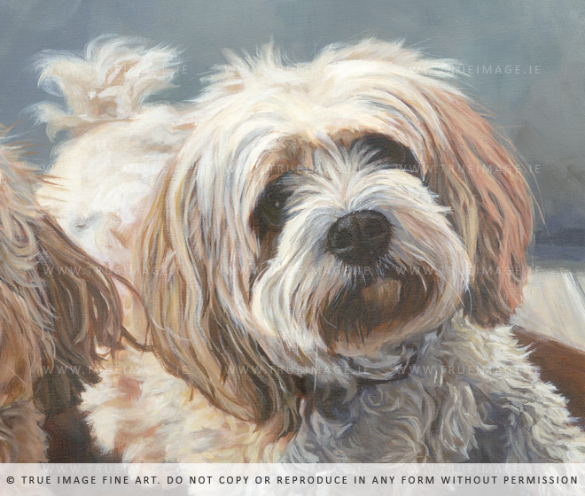 cavachon acrylic painting detail