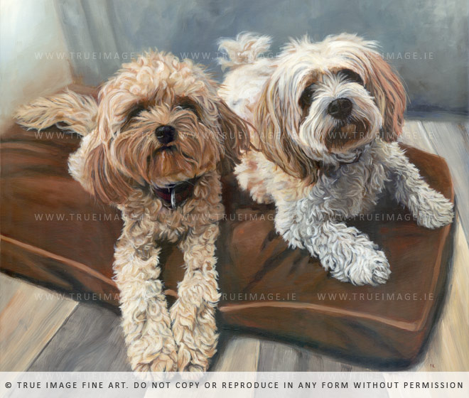 painting of two cavachons