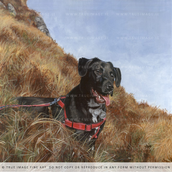 black labrador retriever dog painting