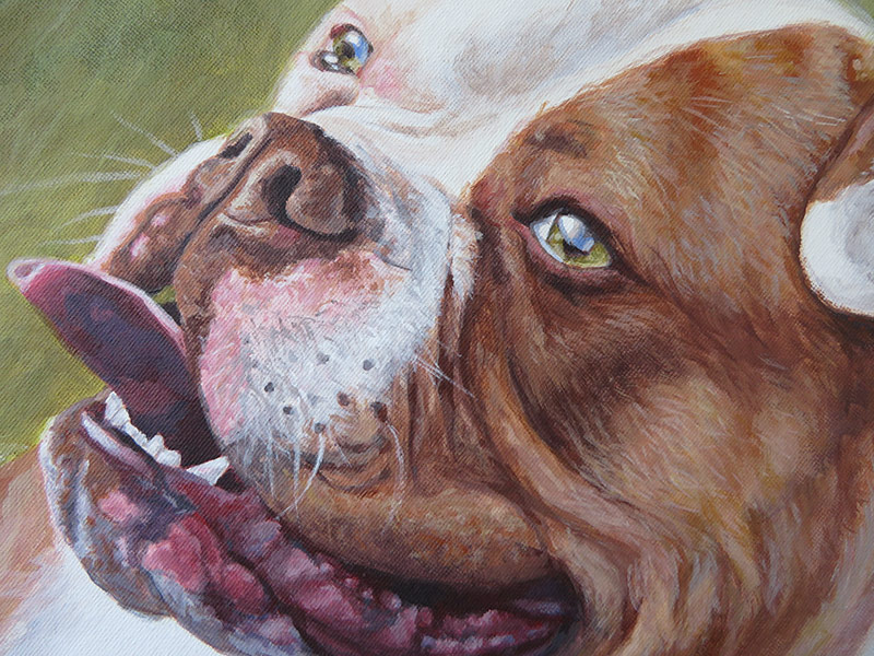 detail of a dog portrait