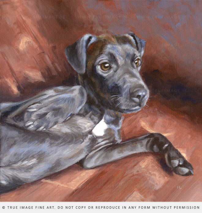 acrylic pet portrait