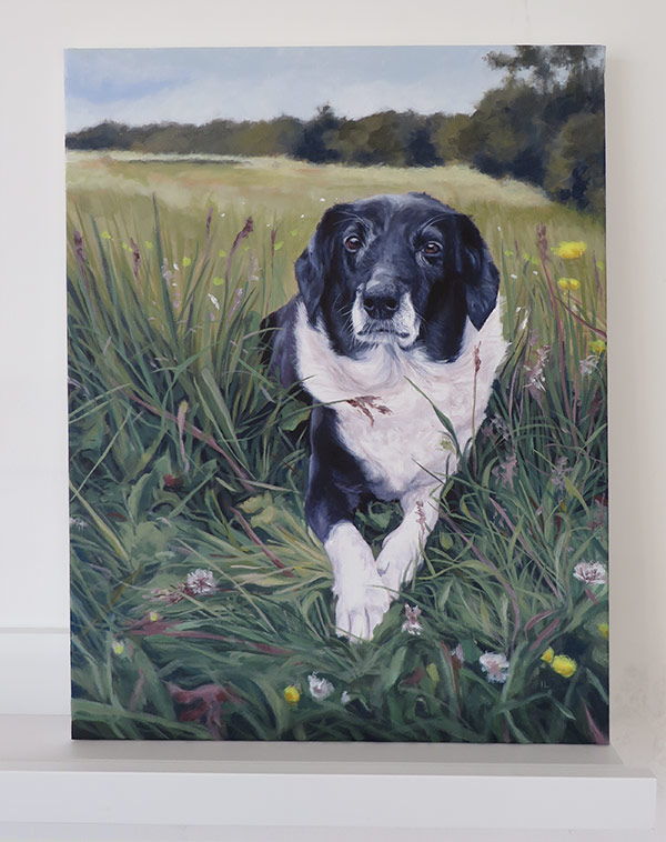 finished pet portrait on canvas