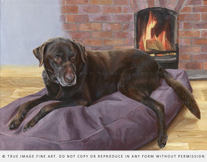 the finished portrait of Otto the brown labrador retriever