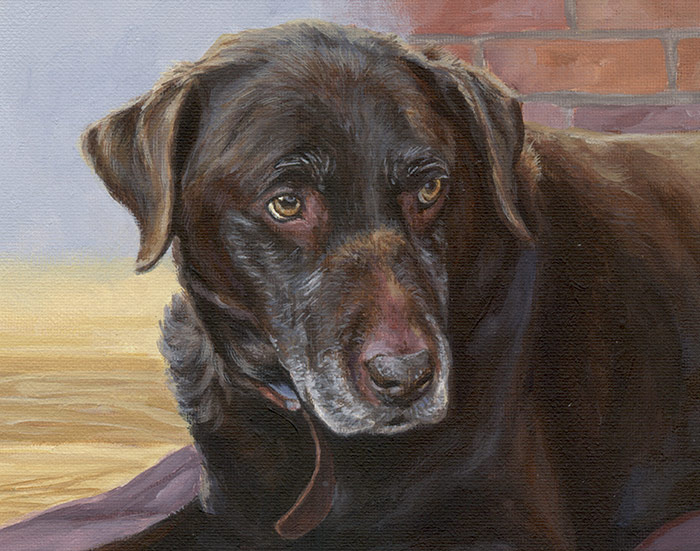 close up view of the finished labrador painting