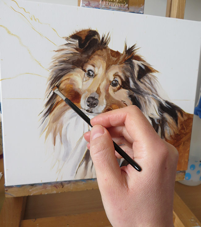 colour blocking a pet portrait