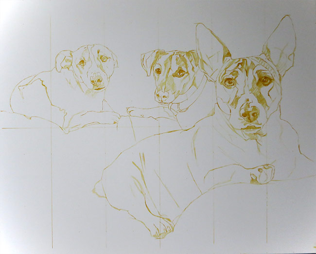 Initial sketch for a dog portrait