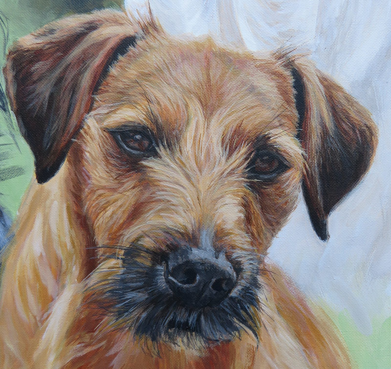 terrier cross dog portrait detail