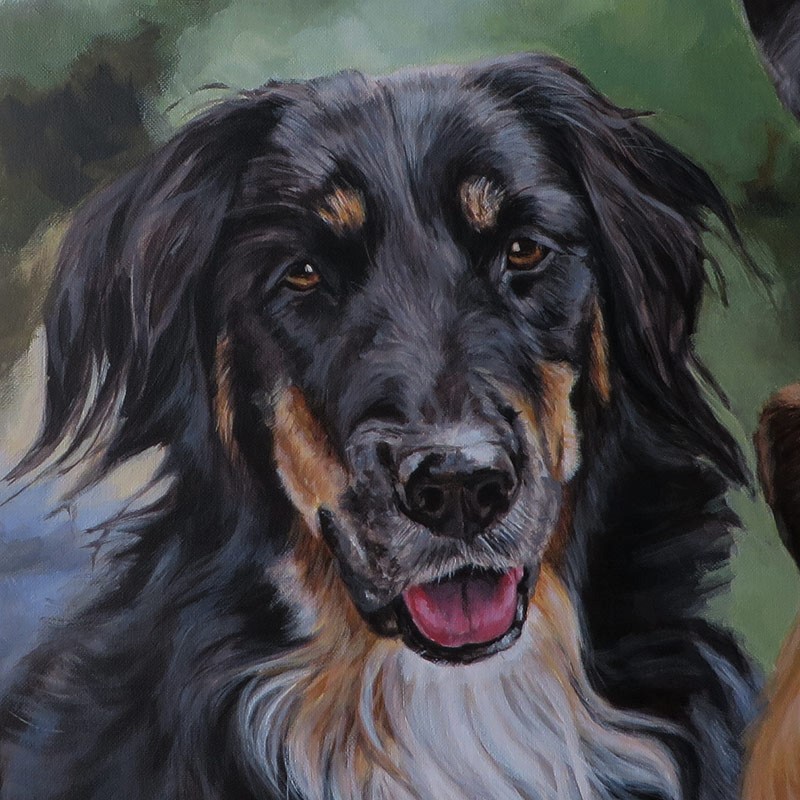 collie dog painting detail