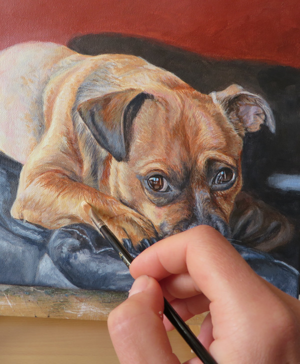 Adding detail to a dog portrait