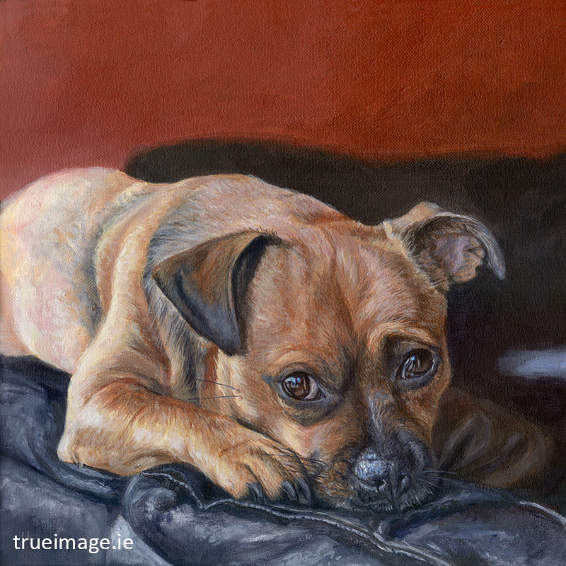 tan jack russell dog portrait painting