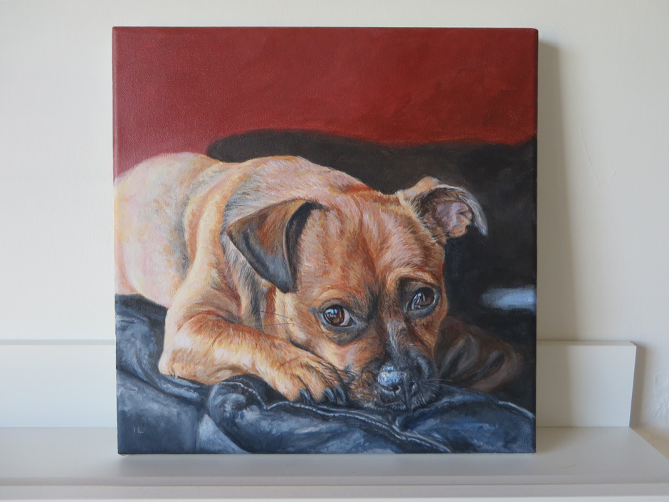 acrylic dog portrait on canvas