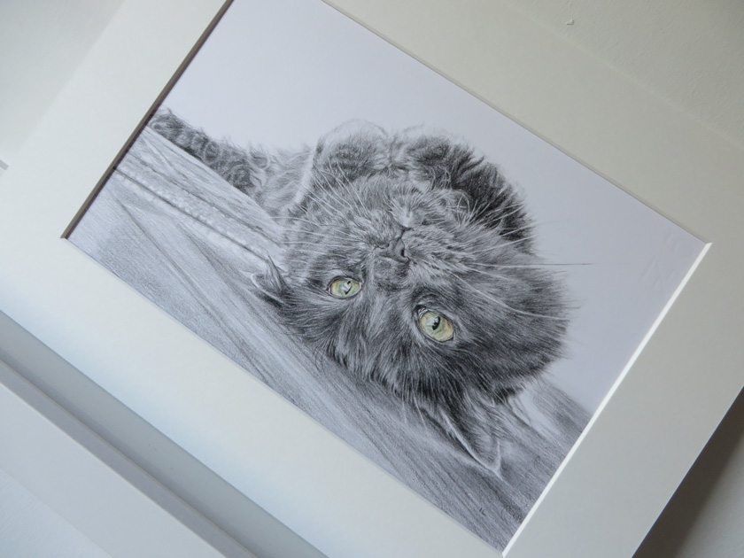 mounted portrait of a cat