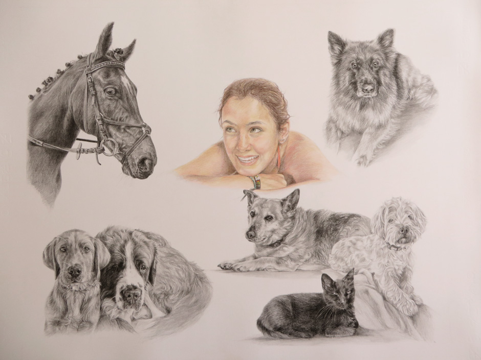 montage drawing of a girl with her pets